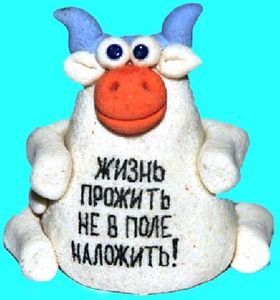 Жизнь прожить не в поле наложить