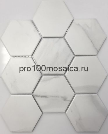 PS95110-13. Мозаика СОТЫ, серия PORCELAIN,  размер, мм: 256*295 (NS Mosaic)