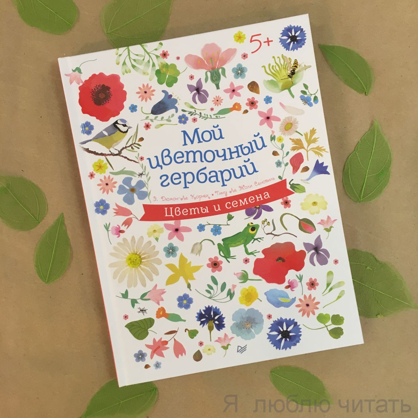 Мой цветочный гербарий. Цветы и семена