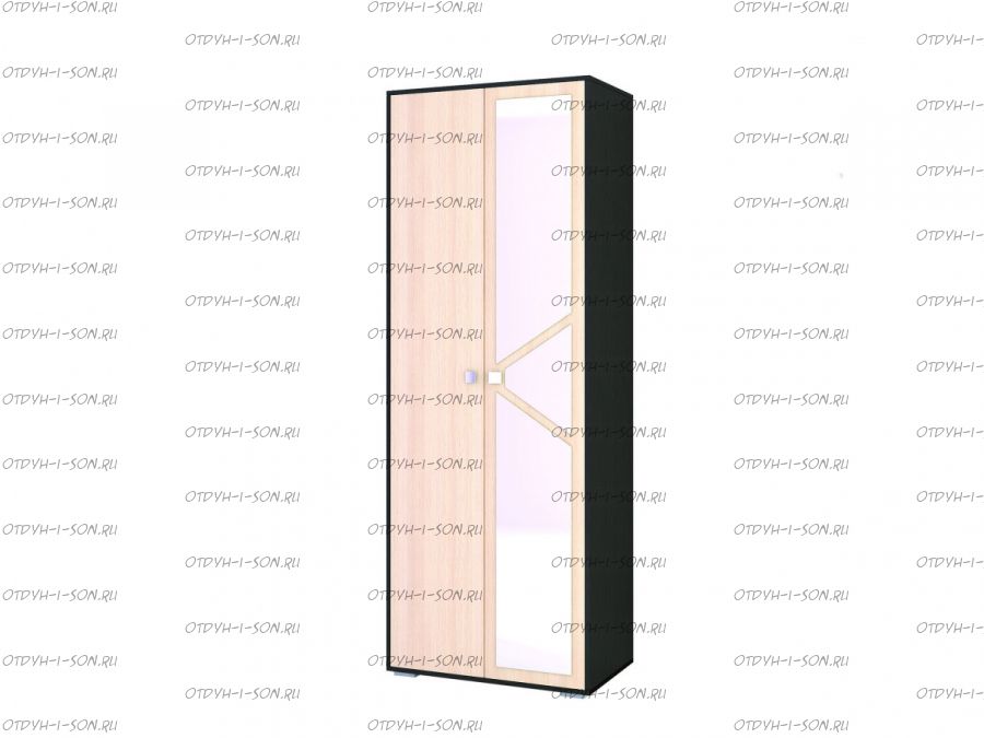 Шкаф 2-дверный Ненси-2 (80х50х220)