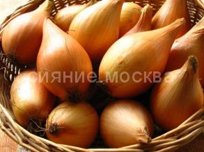 Лук-севок Шекспир (Олина) , 500 г