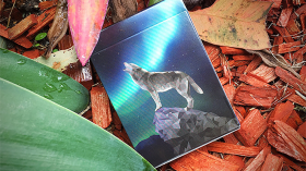 Игральные карты WILD Playing Cards by AssoKappa
