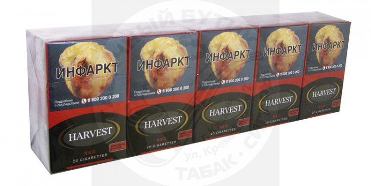 Сигареты Harvest RED ( Вишня ) Box KS (Германия)