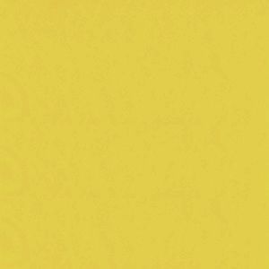 Фетр, 1 мм, 20*30 см, Старый желтый