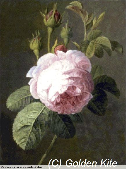 1497. Rose (small)