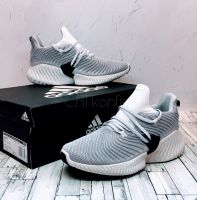 Adidas Alphabounce Instinct White Grey