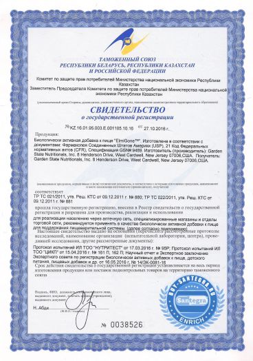 ElmiGone™ (ЭльмиГан)