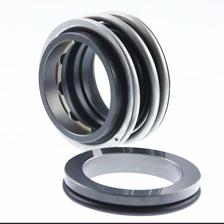 Торцевое уплотнение MG1/20 G6 AQ1VGG