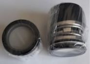 Торцевое уплотнение 48mm 2100N BS GGR1S1