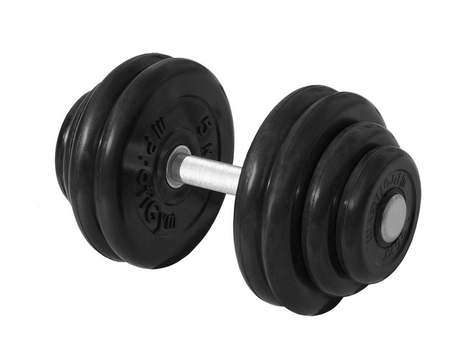 ГНР-51 Гантель «PROFIGYM» неразборная с хромированной ручкой 51 кг, черная