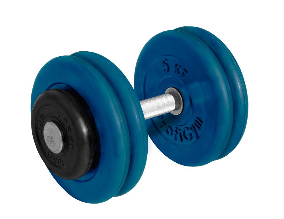 ГНЦ-23,5 Гантель обрезиненная "PROFIGYM" с хромированной ручкой 23,5 кг, цветная