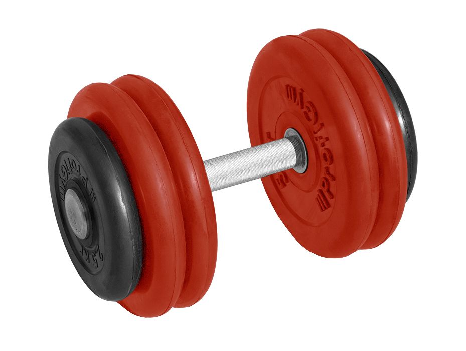 ГНЦ-26 Гантель обрезиненная "PROFIGYM" с хромированной ручкой 26 кг, цветная