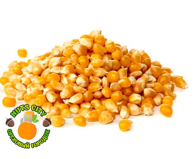 Кукуруза для попкорна