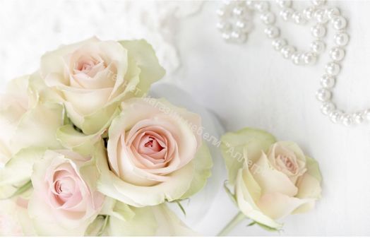 Стол не раздвижной Триумф  1000х700 мм опоры  хром/массив