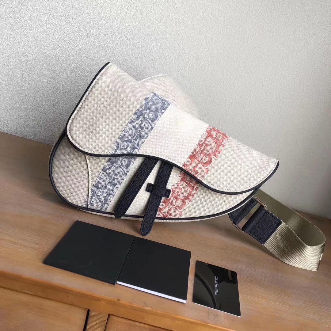 Сумка Dior Saddle bag