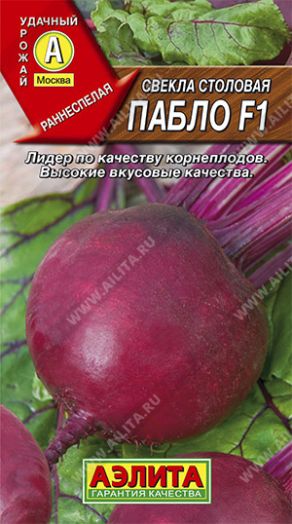 Свекла столовая Пабло F1, 1 гр