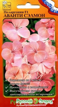 Пеларгония F1 "Аванти сэлмон", 5 шт