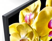 Sony KD-75XG8096 цена