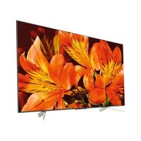 Sony KD-49XF8596 купить