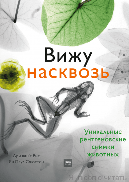 Вижу насквозь
