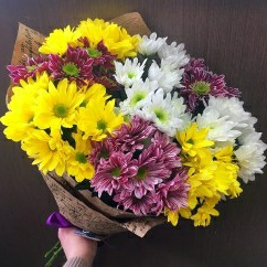 Кустовые хризантемы "микс"