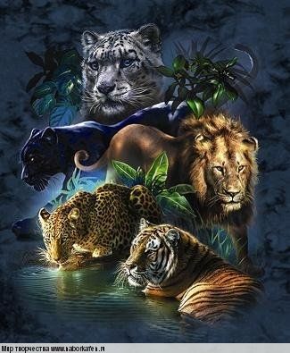 Схема "Big Cats"