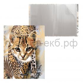 Папка 20 конвертов ErichKrause Wild Cat 48688
