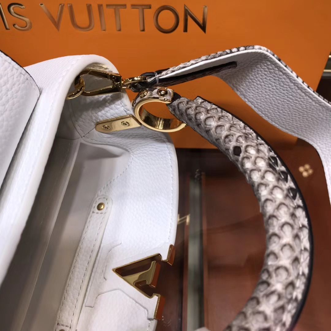 Louis Vuitton Cappucines Mini 21 cm