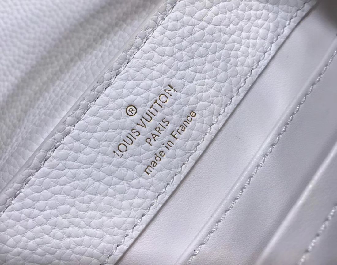 Louis Vuitton Cappucines Mini 21 cm