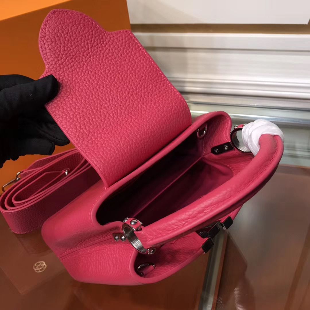 Louis Vuitton Cappucines Mini 21 cm