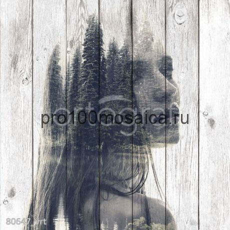 80647 Картина на досках серия ART