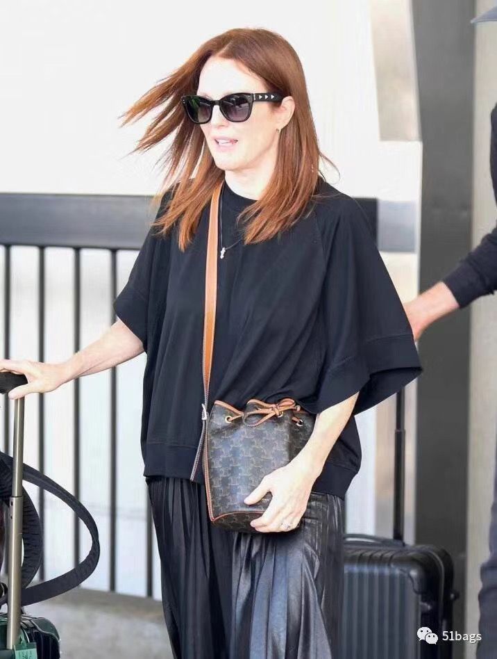 Сумка CELINE Triomphe Canvas Mini