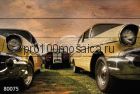 80075 Картина на досках серия АВТО