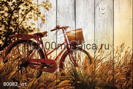 80082 Картина на досках серия ВЕЛОСИПЕДЫ