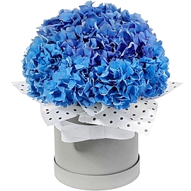 Морской бриз