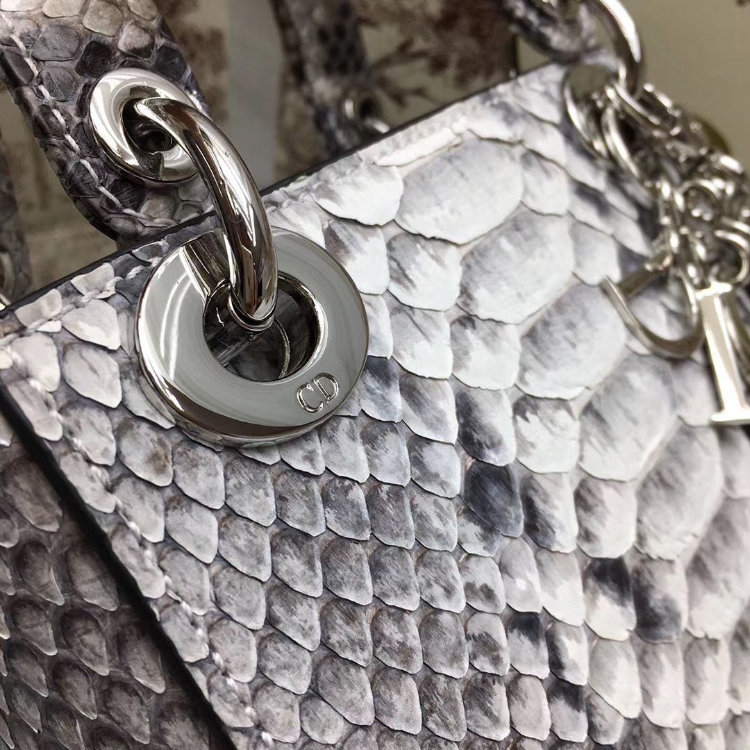 Lady Dior 17 cm