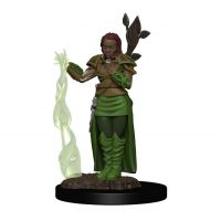 D&D Premium Miniatures: Human Female Druid