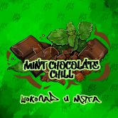 B3 50 гр - Mint Chocolate Chill (Шоколад с Мятой)
