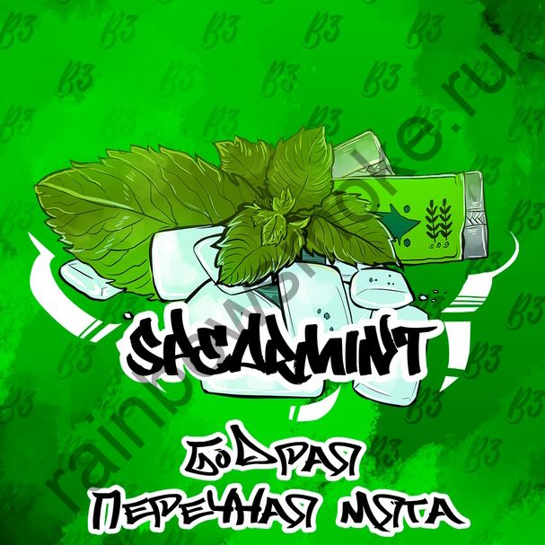 B3 50 гр - Spearmint (Перечная Мята)