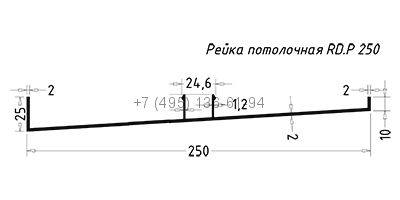 RD.P 250 Рейка потолочная (6,0) RAL