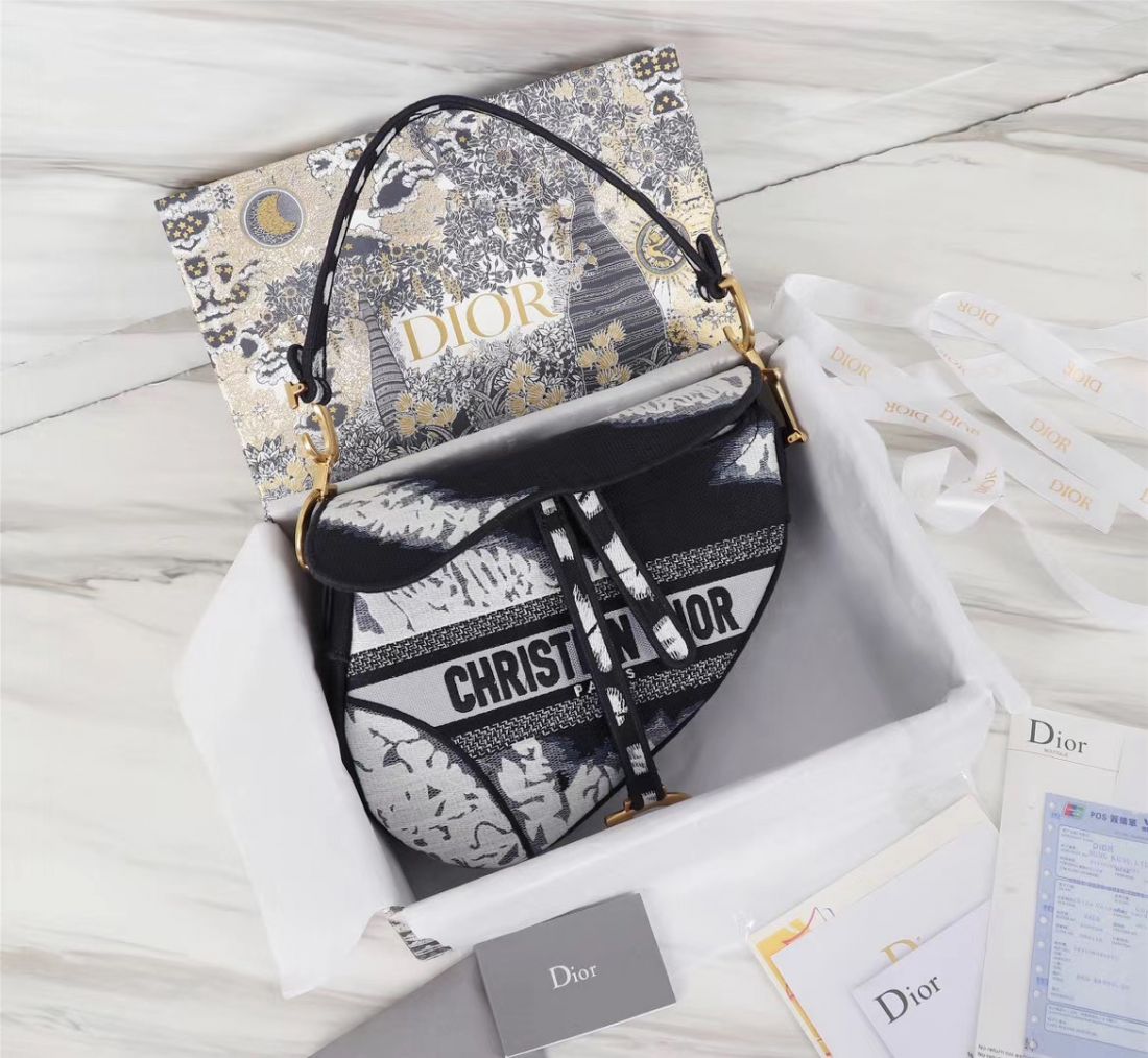 Dior Saddle Bag 25,5 cm