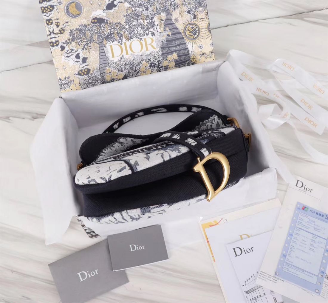 Dior Saddle Bag 25,5 cm