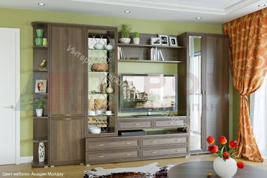 Гостиная Карина №20