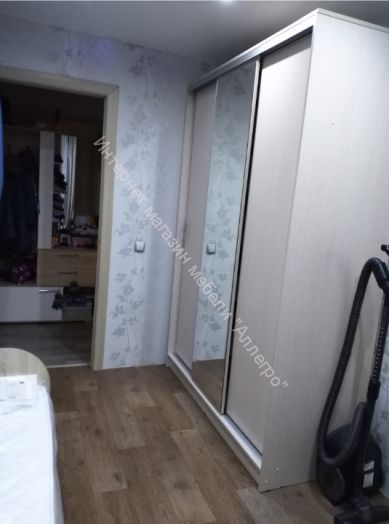 Шкаф-купе "Альянс" 1,5