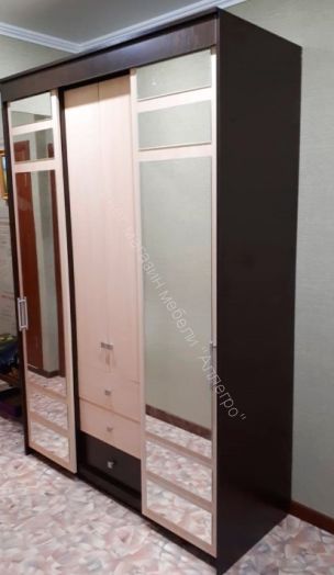 Шкаф-купе "Юнона" комбинированный