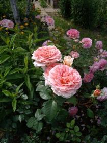 Abraham Darby. Абрахам Дерби.