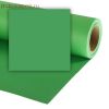 Фон бумажный Colorama LL CO233 2.72x25 м Chromagreen