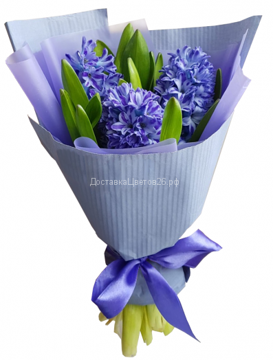 Букет из синих гиацинтов