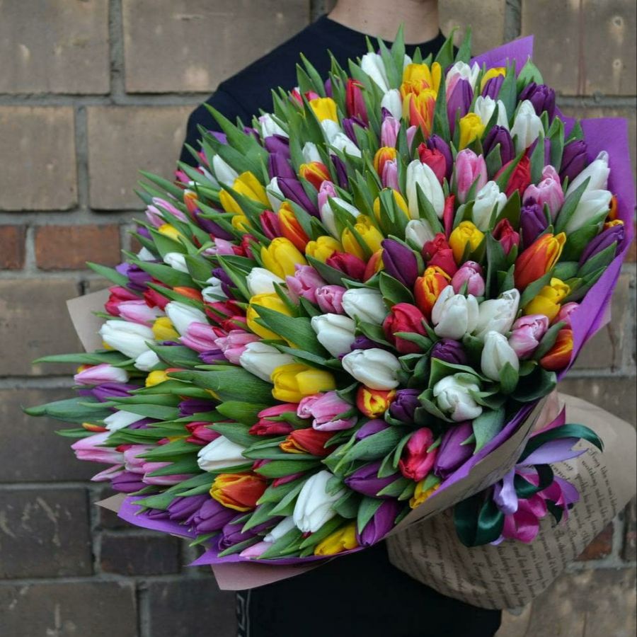 205 тюльпанов