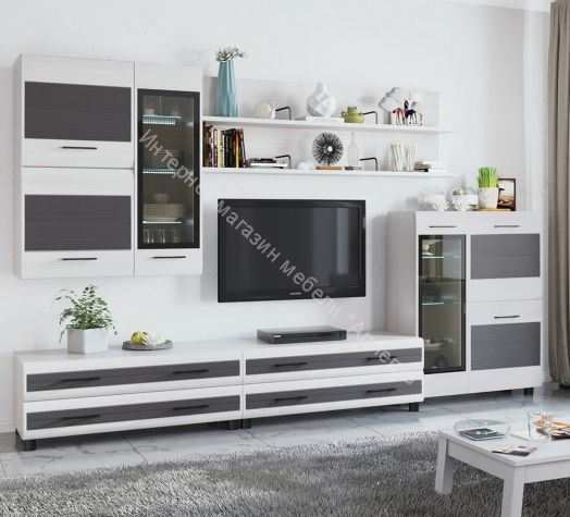 Гостиная КАМЕЛИЯ 6 Снежный Ясень серый